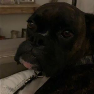 Meet your Posher, Kevin